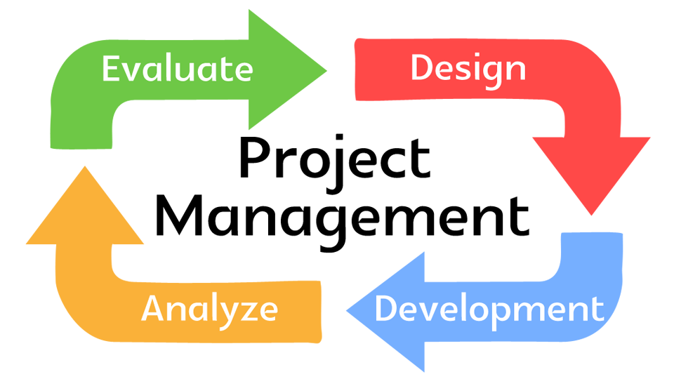 PROJECT MANAGEMENT PROFESSIONAL 